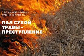 Пал травы: почему это опасно и запрещено?.